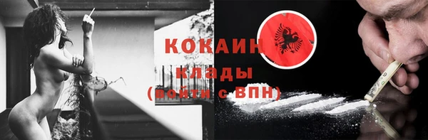 apvp Лиски