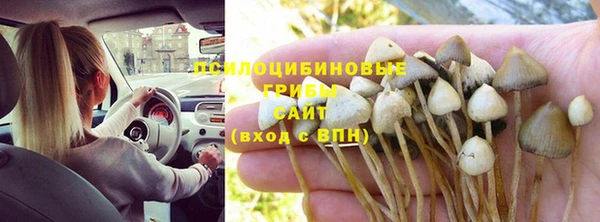 ПСИЛОЦИБИНОВЫЕ ГРИБЫ Дмитровск