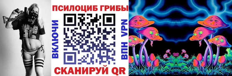 купить наркотики цена  Ленск  Псилоцибиновые грибы Magic Shrooms 